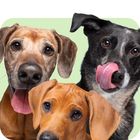 Produkte für jedes Alter