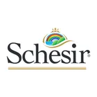  Schesir