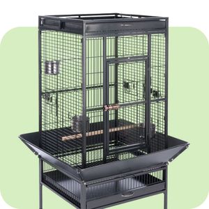 Brochettes à Fruits/perroquet En Acier Inoxydable - Lot De 2 (22 Cm Et 17 Cm), Pour Cages D'oiseaux, Chinchillas, Support à Légumes