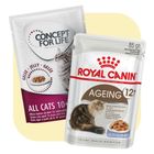 Seniorikissojen ruoka