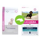 eukanuba westie
