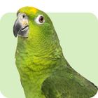 Alles für Papageien