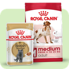 Royal Canin