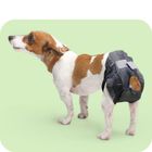 Hundewindeln & Hundetoiletten