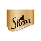 Sheba