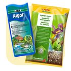 Piante viventi e prodotti cura