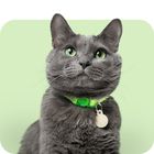 Katzenhalsbänder und Katzengeschirr