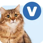 Veterinární krmivo pro kočky