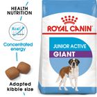 royal canin senior medium dog