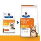 hill's urinary health sterilised cat