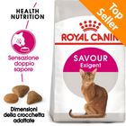 royal canin exigent 33