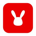 Occasioni per piccoli animali