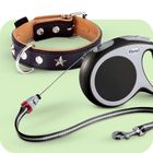 Leinen, Halsbänder & Geschirre