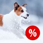 Especial invierno ❄️