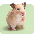 Alles für Hamster