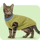 Ropa para gatos