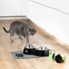 Gamelles Et Distributeurs De Nourriture Pour Chat Zooplus