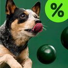 Black Friday per cani