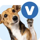 Veterinární krmivo pro psy