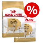 royal canin mops junior