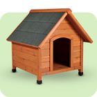 Hundehütte & Freilauf