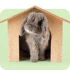 Kanin ulkohäkit ja kanin kopit