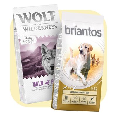 Hundefutter & Hundesnacks zu TOP-Preisen | bitiba.ch %