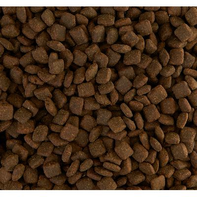 aatu dog food salmon