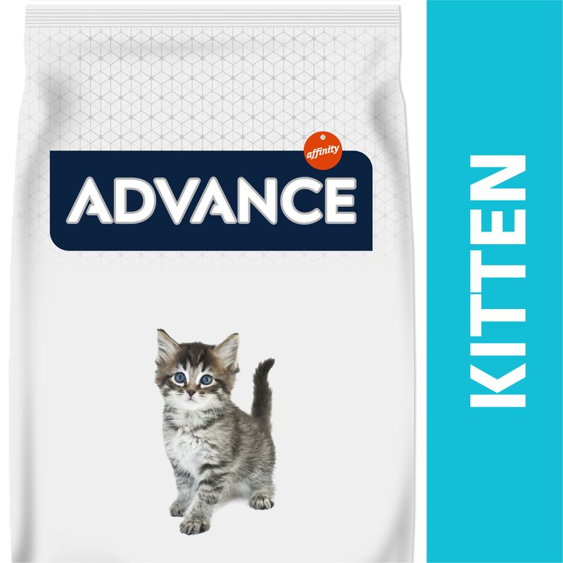Advance Kitten com frango