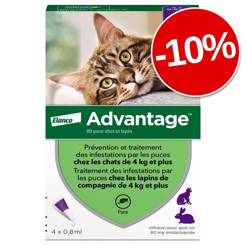 Avis Clients Sur Advantage 80 40 2 X 6 Pipettes 10 Zooplus