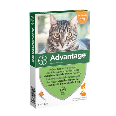 Advantage 40 Pour Chat Et Lapin 4 Kg