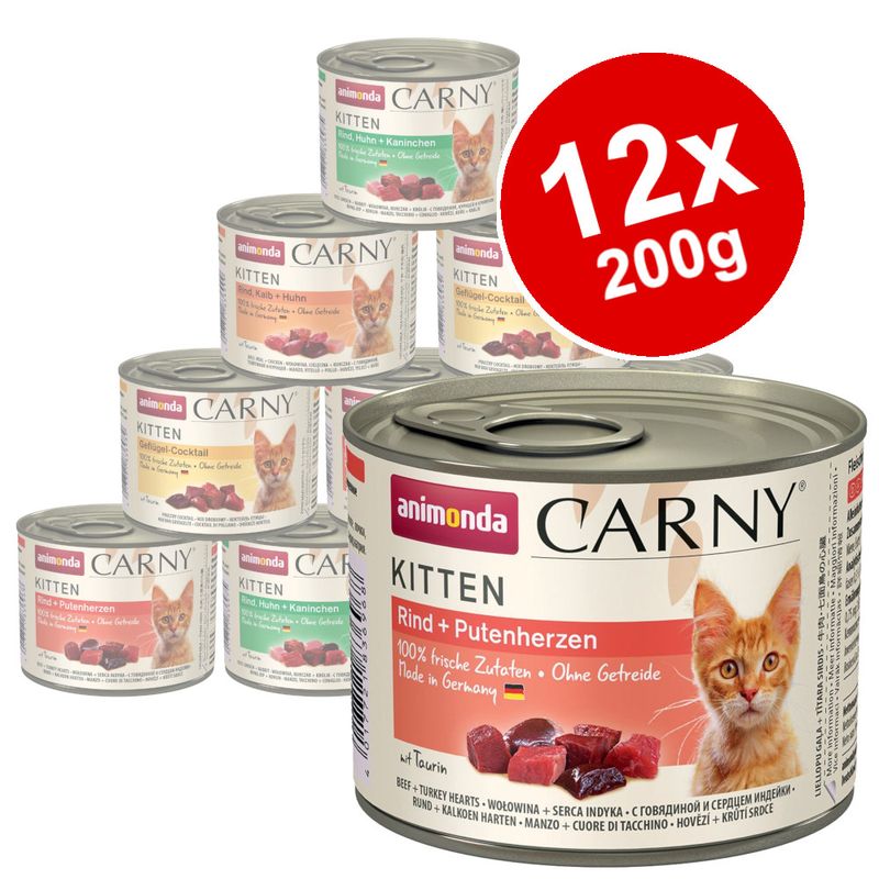 carny kitten baby pate