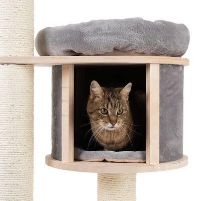 Arbre A Chat Natural Paradise Compact Xl Zooplus