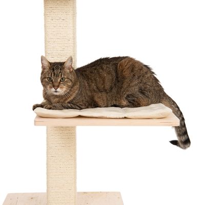 Arbre A Chat Natural Paradise Fixation Plafond Quadra Zooplus