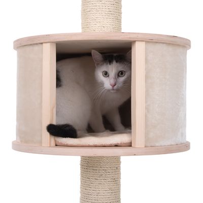 Arbre A Chat Natural Paradise Fixation Plafond Xl Zooplus