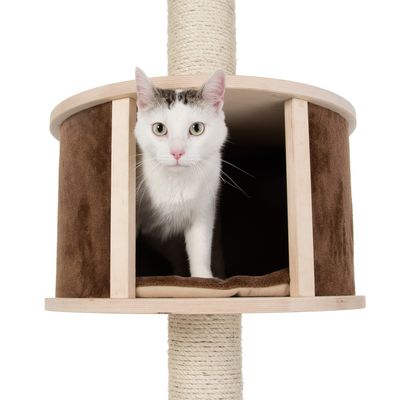 Arbre A Chat Natural Paradise Fixation Plafond Xl Zooplus
