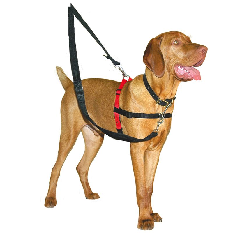Correa y Collar de 1,2 m Vi.yo Correa de Nailon Ajustable para Entrenamiento de Perros