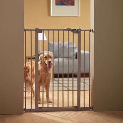 Barrière rétractable pour chien clearance