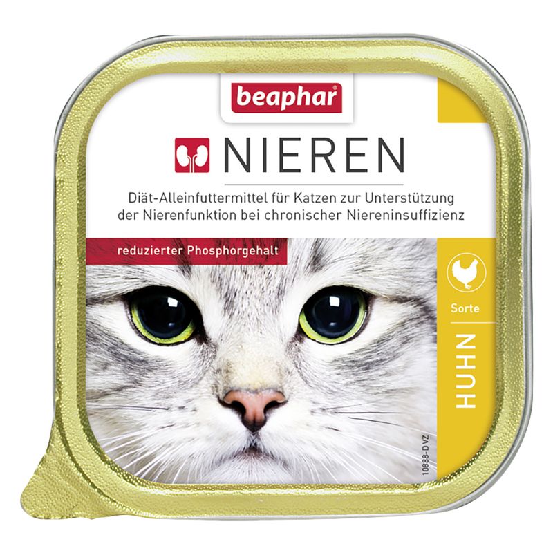 dieta barf dla kota z niewydolnością nerek