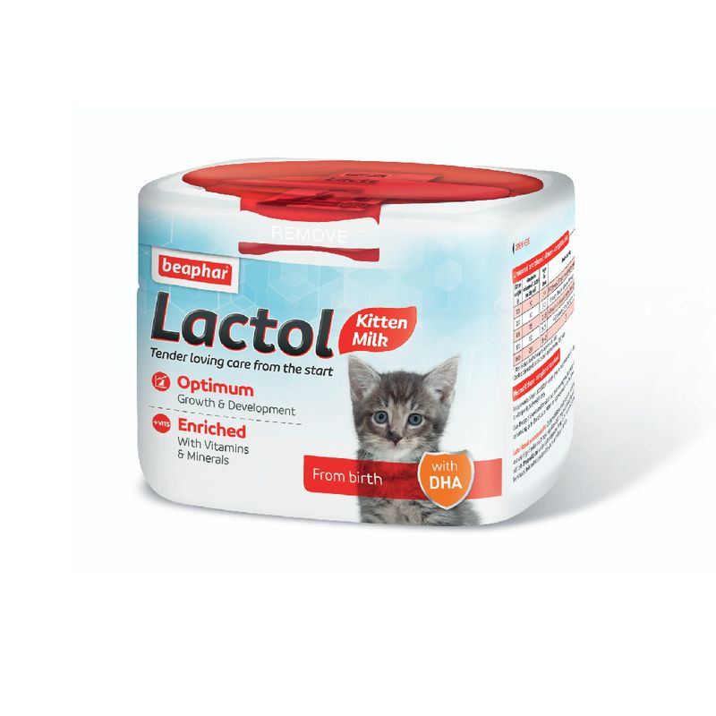 kitten milk supplement