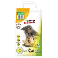 benek corn cat