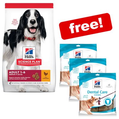 Big Bags Hill S Science Plan Dry Dog Food 3 X Hills Chews Free