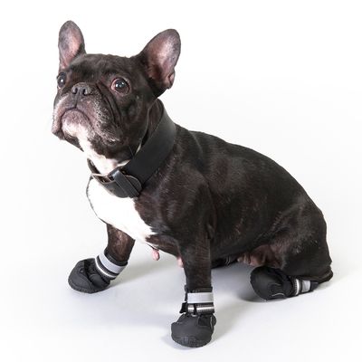 Botas de perro clearance