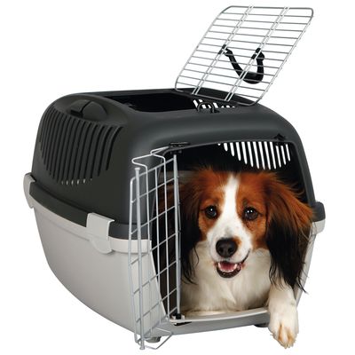 Cage De Transport Trixie Capri Open Top Pour Chien Et Chat Zooplus