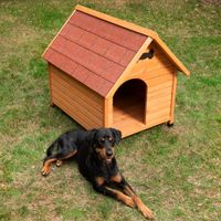 Casota de madeira Spike Classic para cães