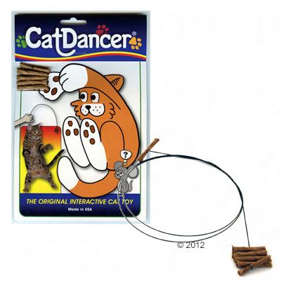 Omaha The Cat Dancer Torrent