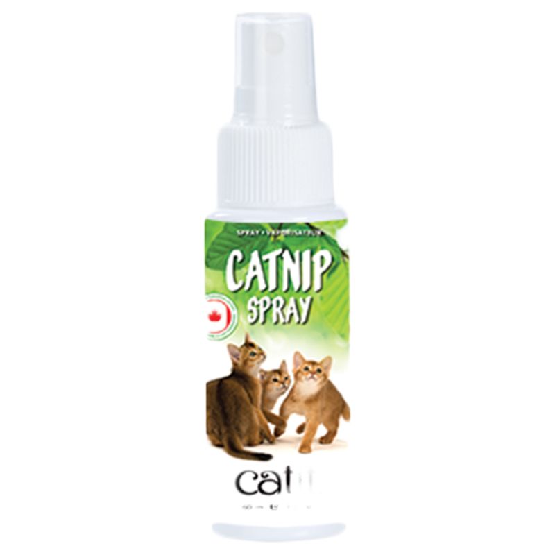 kong naturals catnip spray for cats