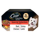 Cesar Country Kitchen in Saus Hondenvoer Mixpakket
