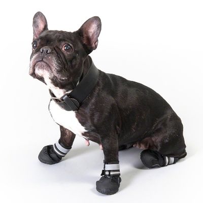 chaussure pour chien ugg chaussure pour chien ugg