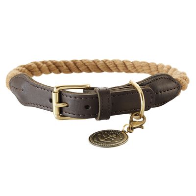 Collar de perro Hunter